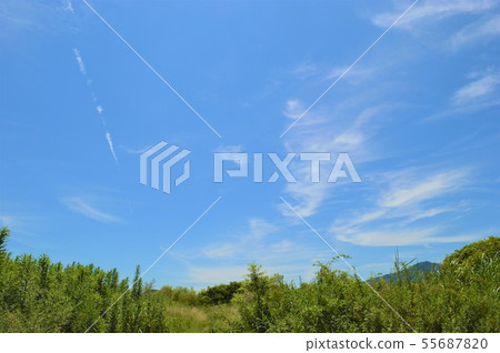 Sky Shimanto Nakamura Sky Shimanto Nakamura 55687820