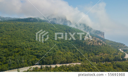 Beauty nature landscape Crimea with tree forest, roads, horizontal photo 55691988