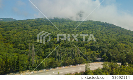 Beauty nature landscape Crimea with tree forest, roads, horizontal photo 55692114
