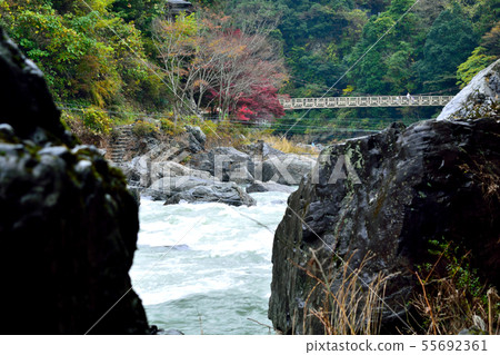 Autumn Okutama Mitake Kobashi area 55692361