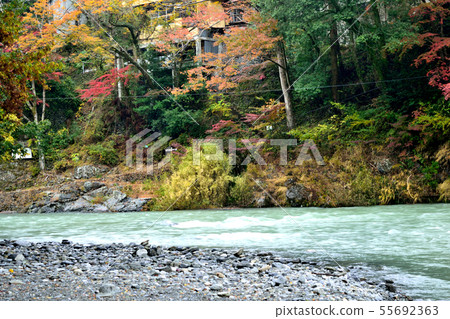 Mitake Valley colored leaves and Tamagawa Kawahara 55692363