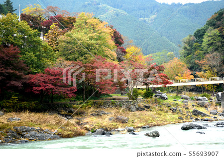 Autumn Okutama Mitake Kobashi area 55693907
