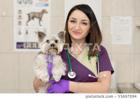portrait female professional veterinarian with her 55697894