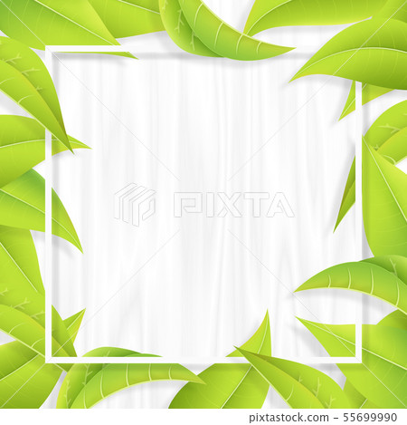 Green-Leaf-Leaf-Frame-Fresh Green-Shiroki 55699990