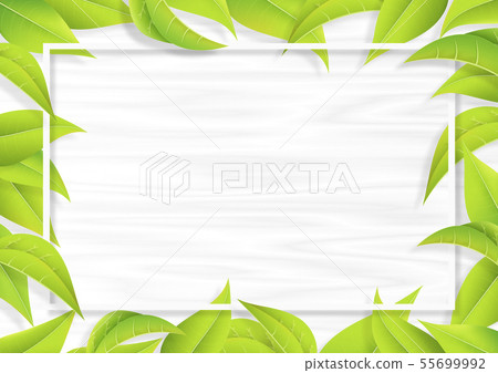 Green-Leaf-Leaf-Frame-Fresh Green-Shiroki Green-Leaf-Leaf-Frame-Fresh Green-Shiroki 55699992