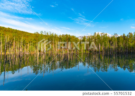 Blue pond Miho summer Hokkaido Blue pond Miho summer Hokkaido 55701532