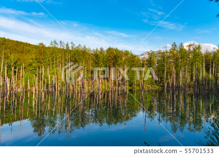 Blue pond Miho summer Hokkaido Blue pond Miho summer Hokkaido 55701533