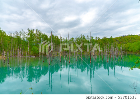 Blue pond Miho summer Hokkaido 55701535