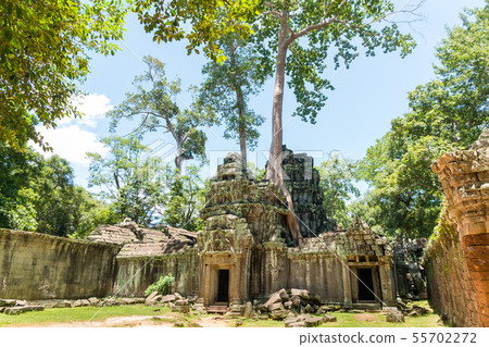 Prasat Ta Prohm Temple, siam reap, cambodia Prasat Ta Prohm Temple, siam reap, cambodia 55702272