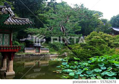 昌德宮韓屋韓國傳統韓國庭院韓國文化韓國文化遺產 55702678