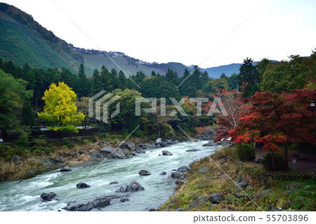 Mitake Valley紅葉和Tamagawa Kawahara Mitake Valley紅葉和Tamagawa Kawahara 55703896
