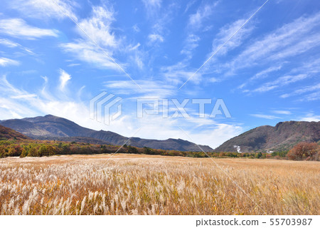 Kuju Chojabaru, Tadehara Wetland Autumn Scene, 1762m Hoseiyama on the far left, Makinoto Onsen Yukemuri on the right 55703987