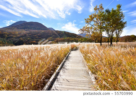 Mt. Mitsumata 1745m從Kuju Chojahara Tadahara濕地秋天風景Tadehara濕地自然研究路Akiiro Kuju山脈 55703990