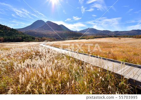 Mt. Mitsumata 1745m從Kuju Chojahara Tadahara濕地秋天風景Tadehara濕地自然研究路Akiiro Kuju山脈 55703995