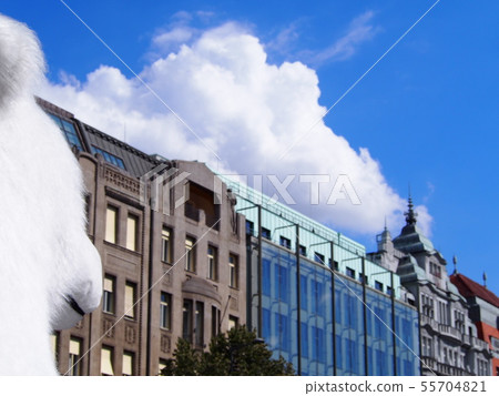 Traveler's eyes Traveler's eyes 55704821