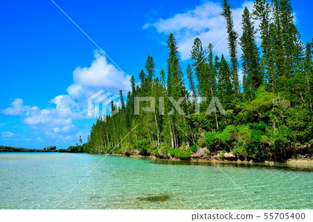 New Caledonia Iledepan Pissinnu Naturel 6 New Caledonia Iledepan Pissinnu Naturel 6 55705400