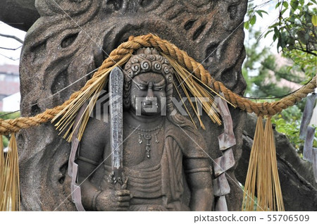 Fudo Fudo Fudo Fudo 55706509