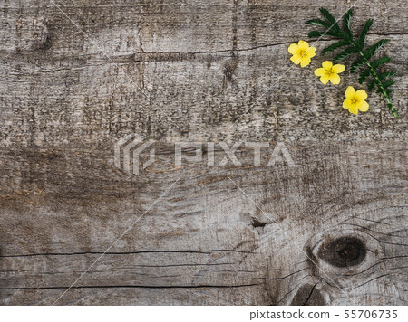 Beautiful, bright wildflowers lying on the desk 55706735