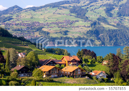 The traditional alpine village Spiez near Lake Thun. 55707855