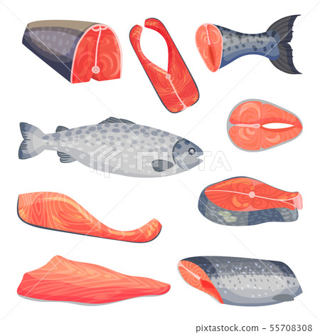 Set of pieces of salmon. Vector illustration on a white background. 55708308