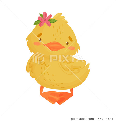 Cute yellow duckling girl standing. Vector illustration on a white background. 55708323