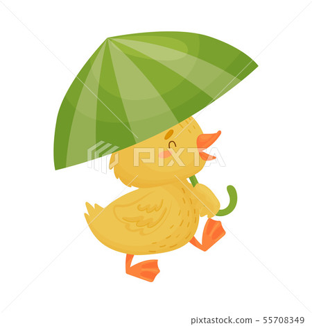 Cute yellow duckling under the umbrella. Vector illustration on white background. Cute yellow duckling under the umbrella. Vector illustration on white background. 55708349