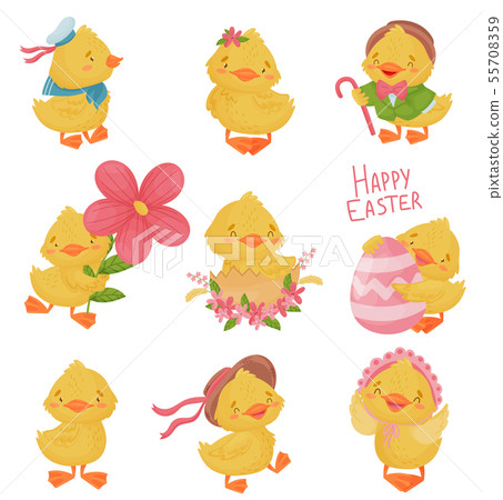 Set of cute yellow ducklings. Vector illustration on a white background. 55708359