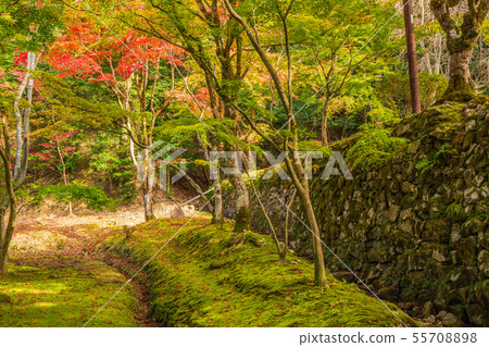 Autumn Shiga Koto Sanzan Seimei-ji Temple Autumn Shiga Koto Sanzan Seimei-ji Temple 55708898
