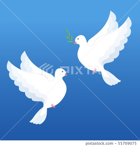 white doves with olive twig on a blue background white doves with olive twig on a blue background 55709075