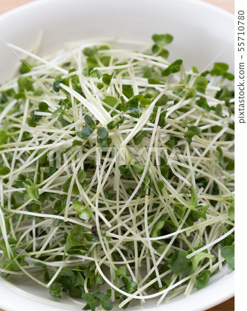 西蘭花芽 55710780