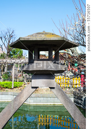 Kameido Tenjinsha Kotoshido Lantern Kotodori（東京都江東區）2019年2月 55716507