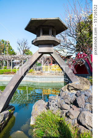Kameido Tenjinsha Kotoshido Lantern Kotodori（東京都江東區）2019年2月 55716522