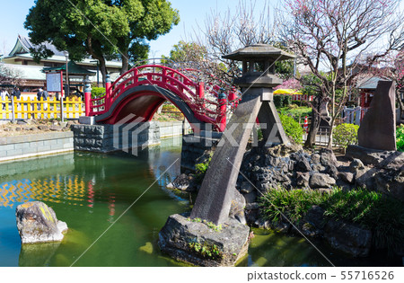 Kameido Tenjinsha Kotoshiru Lantern和Taikobashi（東京都江東區）2019年2月 55716526