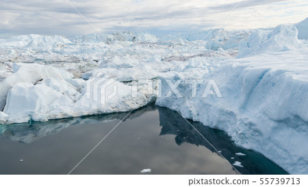 Global Warming and Climate Change - Icebergs from melting glacier in icefjord Global Warming and Climate Change - Icebergs from melting glacier in icefjord 55739713