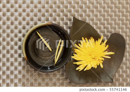 Shigeo的季節性形象 Shigeo的季節性形象 55741146