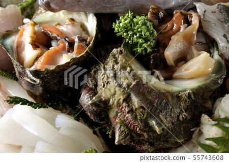 生魚片生魚片 55743608