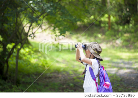 觀鳥的小學女孩 55755980