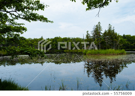 [北海道]世界自然遺產地_參觀知床五湖_Three Lakes 55756009