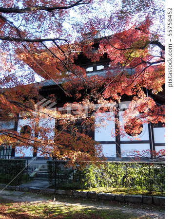 東福寺 55756452