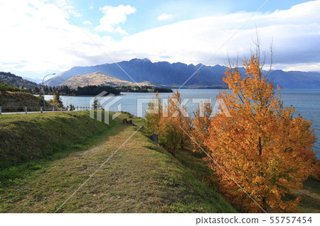 fall season wakatipu new zealand 55757454