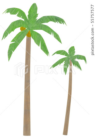 hand painted palm trees