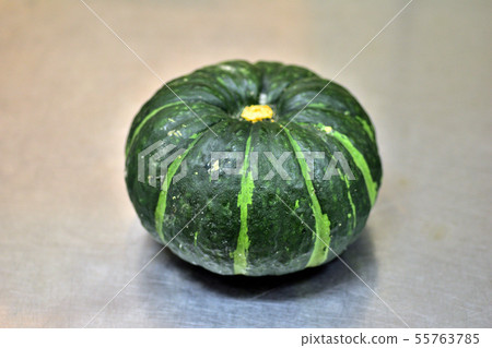 pumpkin pumpkin 55763785