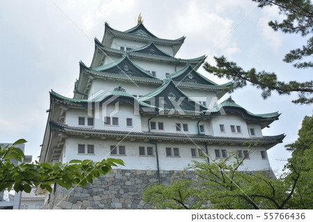 名古屋城堡在夏天 名古屋城堡在夏天 55766436