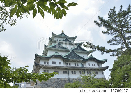 名古屋城堡在夏天 名古屋城堡在夏天 55766437