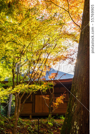 Autumn Shiga Koto Sanzan Kongorinji Temple Autumn Shiga Koto Sanzan Kongorinji Temple 55769905