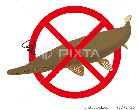 Illustration of alligator ger 55772439