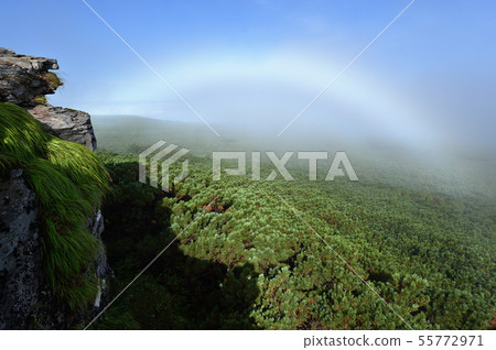 A white rainbow over the forest in Hokkaido A white rainbow over the forest in Hokkaido 55772971
