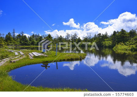 Yogoike Marsh Yogoike Marsh 55774603
