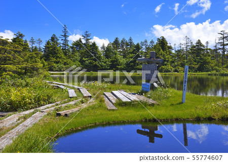 Yogoike Marsh Yogoike Marsh 55774607