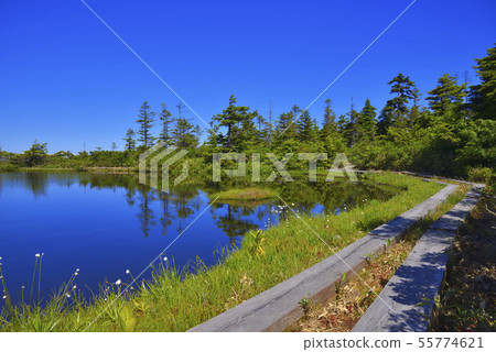 Yogoike Marsh Yogoike Marsh 55774621
